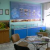 P1040761