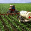 Tractor and applicator side dressing fertilizer in an early growth corn field while simultaneously cultivating the field